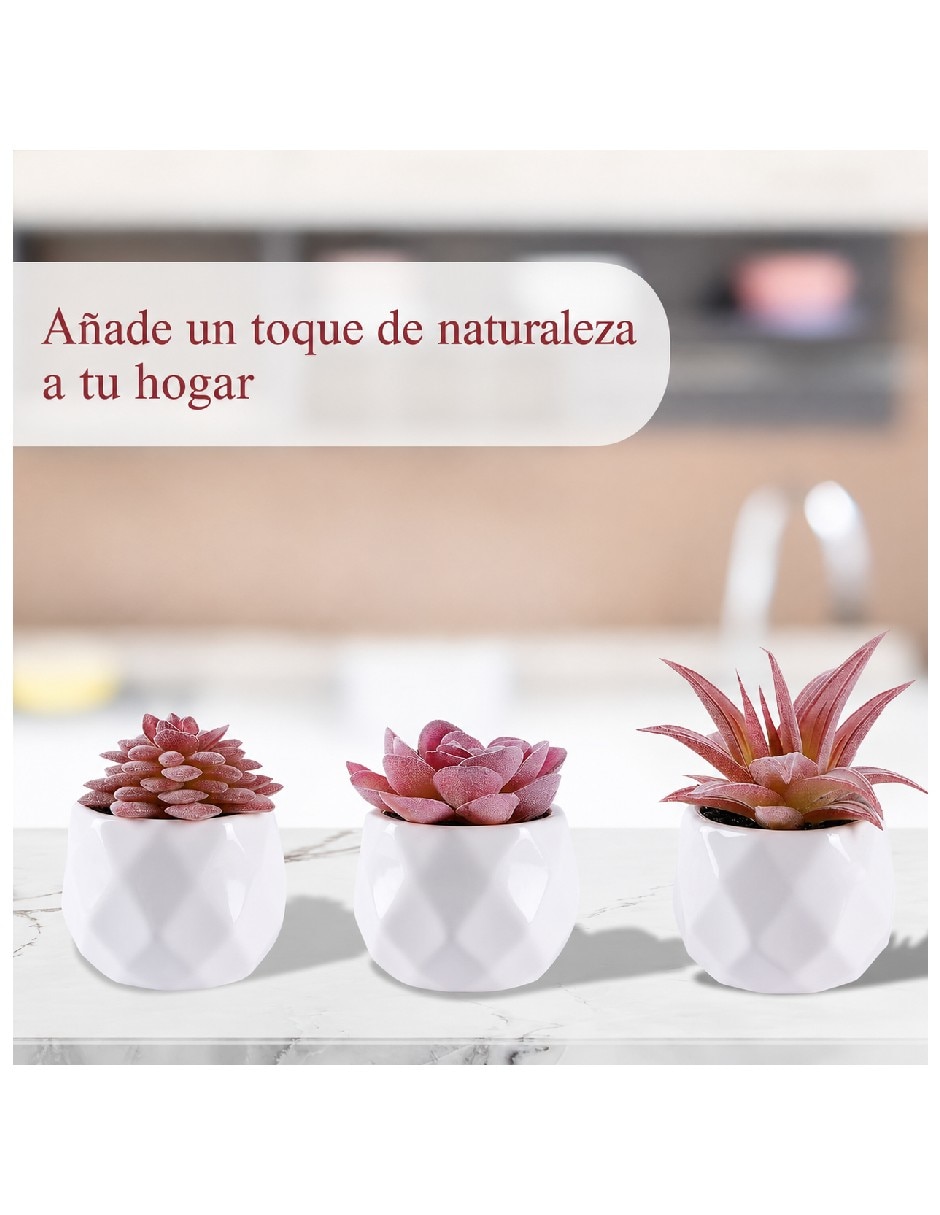 Suculentas artificial 3