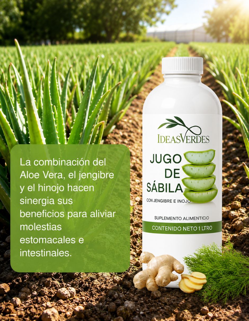 Jugo de sabila con jengibre e hinojo con aloe barbadensis sabor dulce 5
