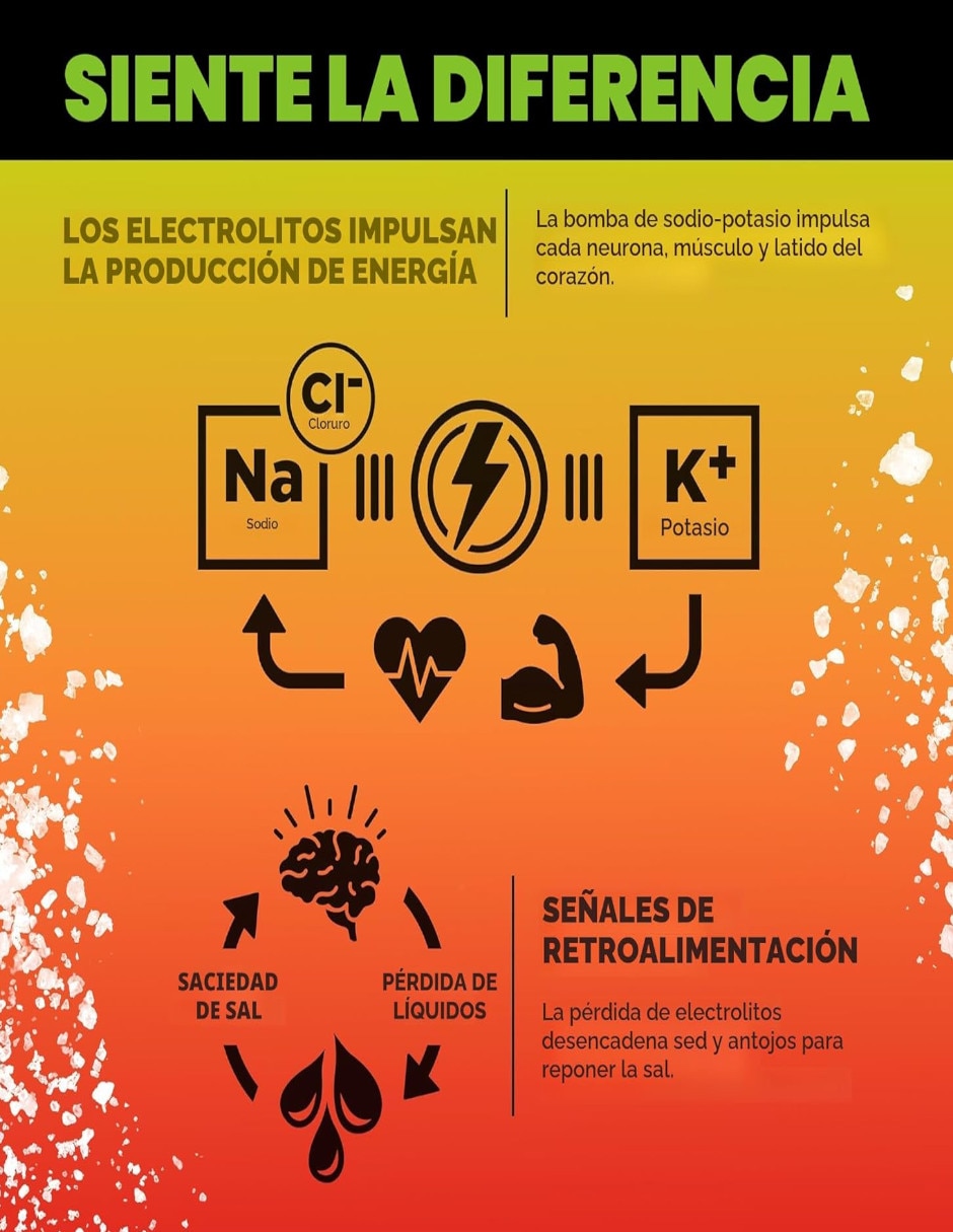 Electrolitos LMNT sin azúcar sabor mango con chile con Vitamina D Calcio Zinc Potasio Vitamina C Fosforo Magnesio Cloruro