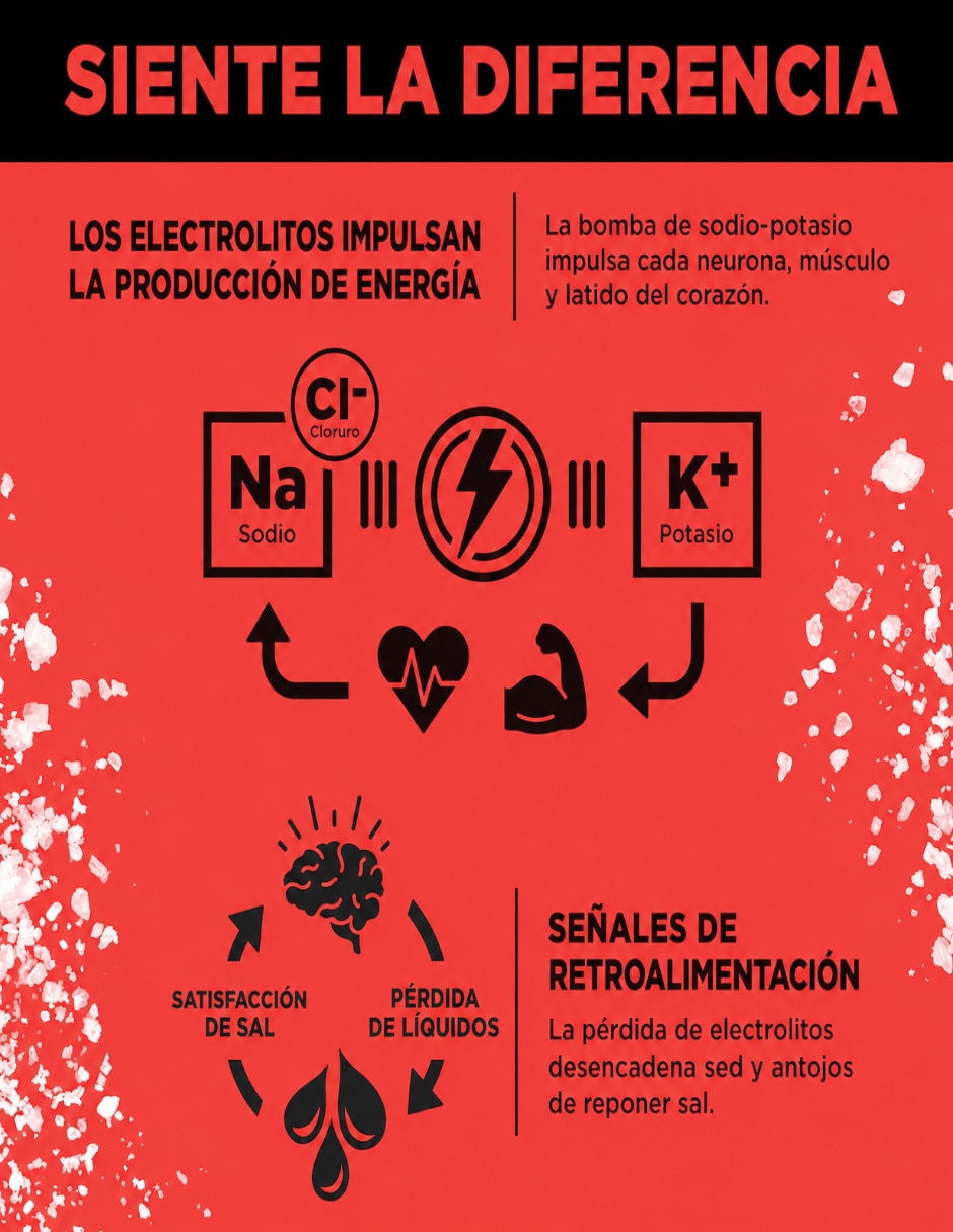 Suplementos alimenticios Electrolitos LMNT sin azúcar sabor sandia