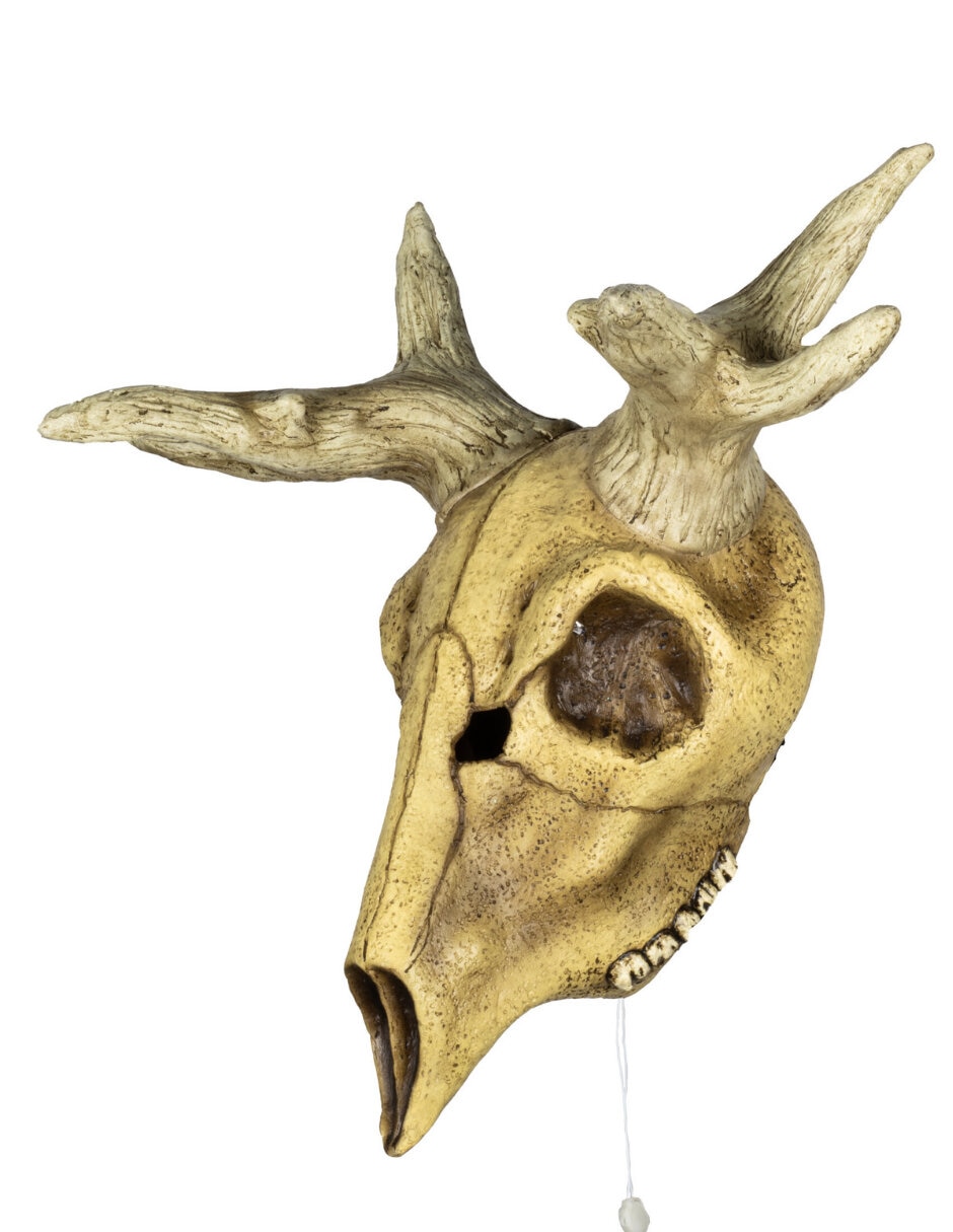 Figura decorativa de Cabeza Animal Rev