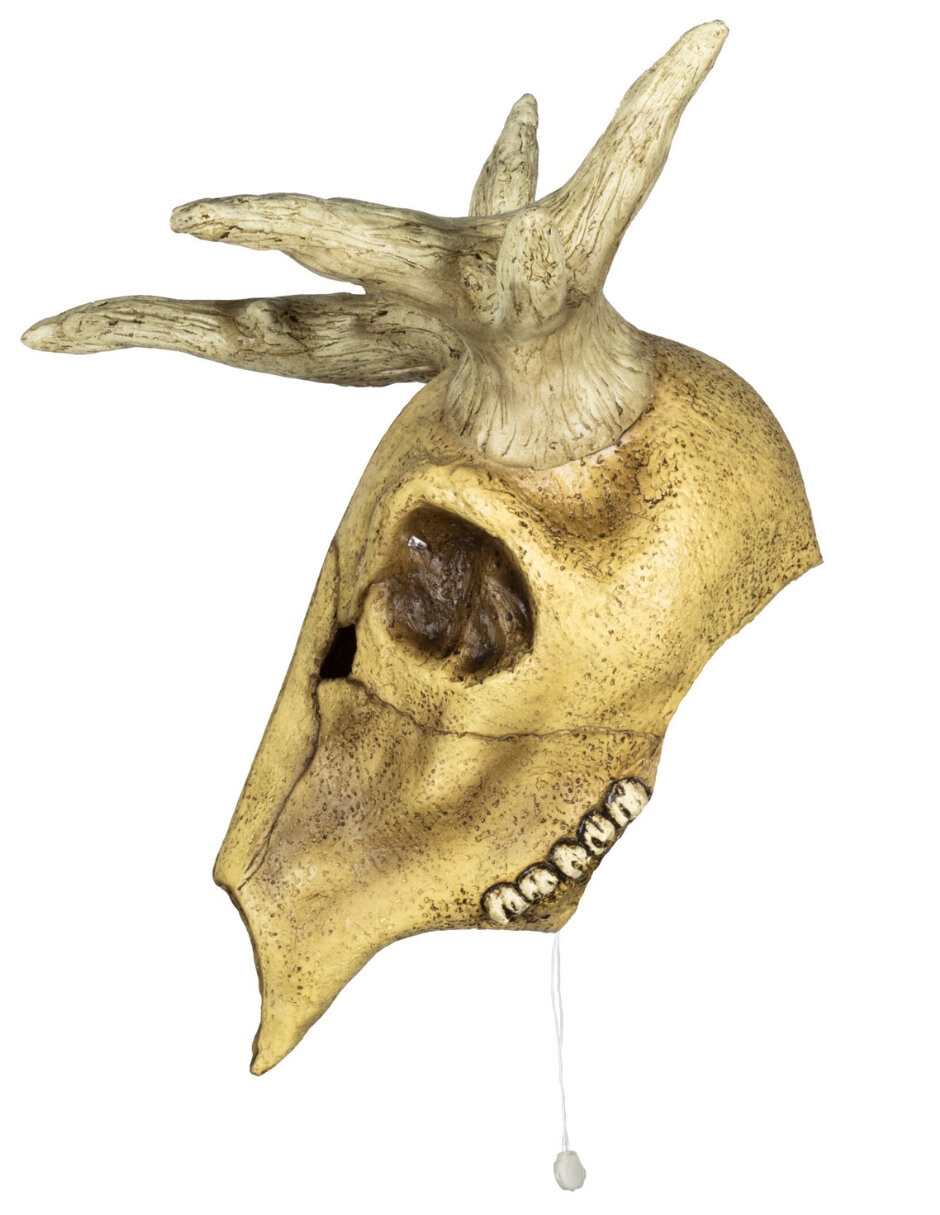 Figura decorativa de Cabeza Animal Rev
