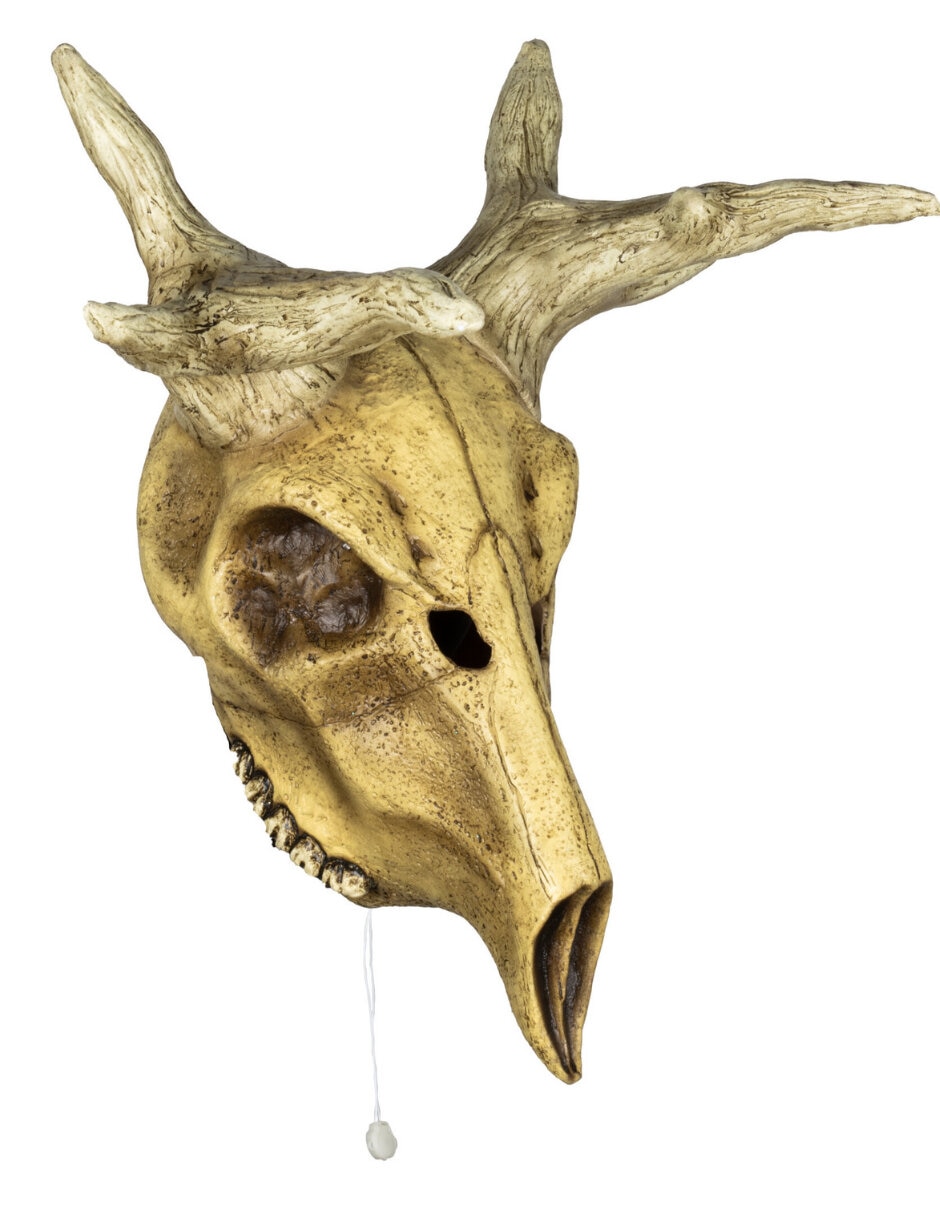 Figura decorativa de Cabeza Animal Rev
