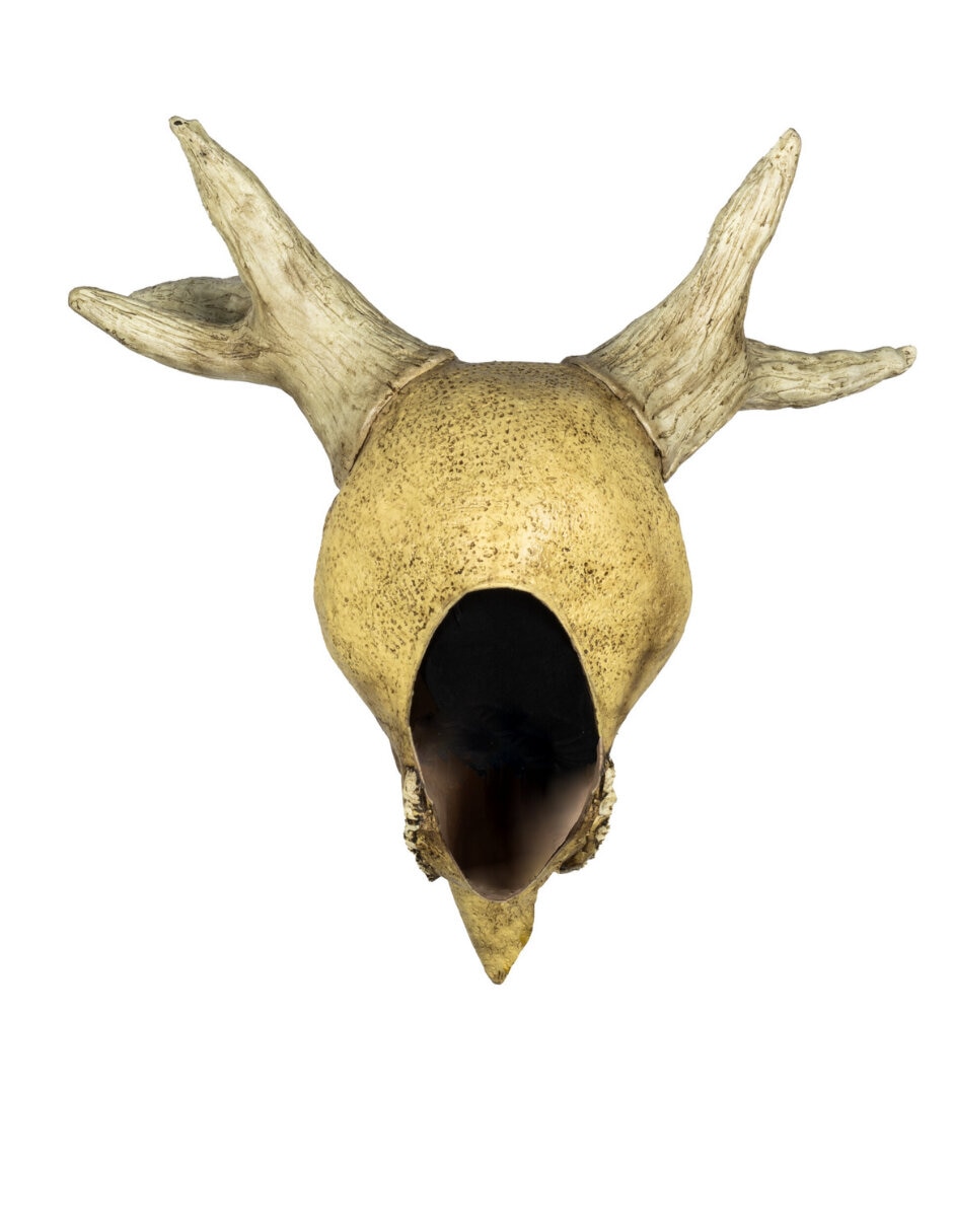 Figura decorativa de Cabeza Animal Rev