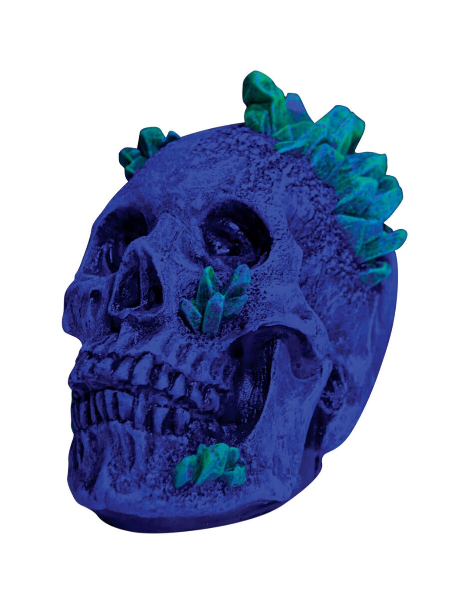 Figura decorativa de Calavera Halloween Rev