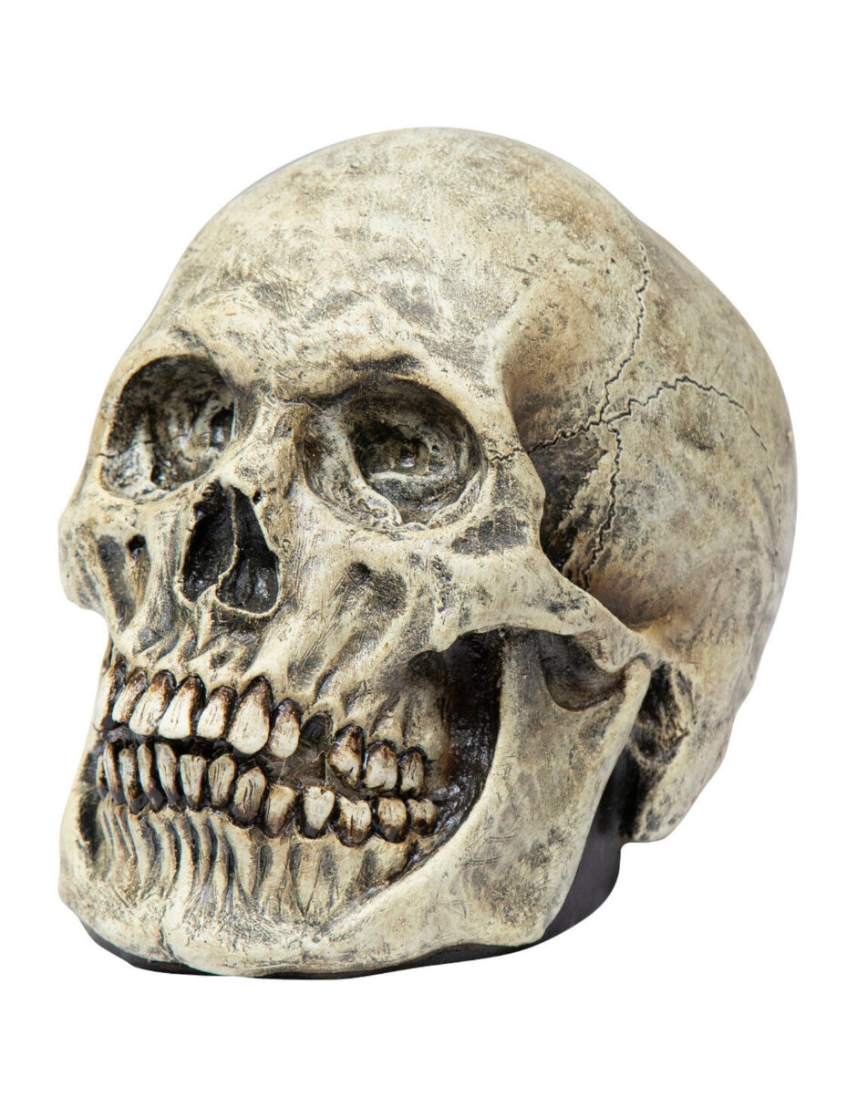 Figura decorativa de Calavera Rev