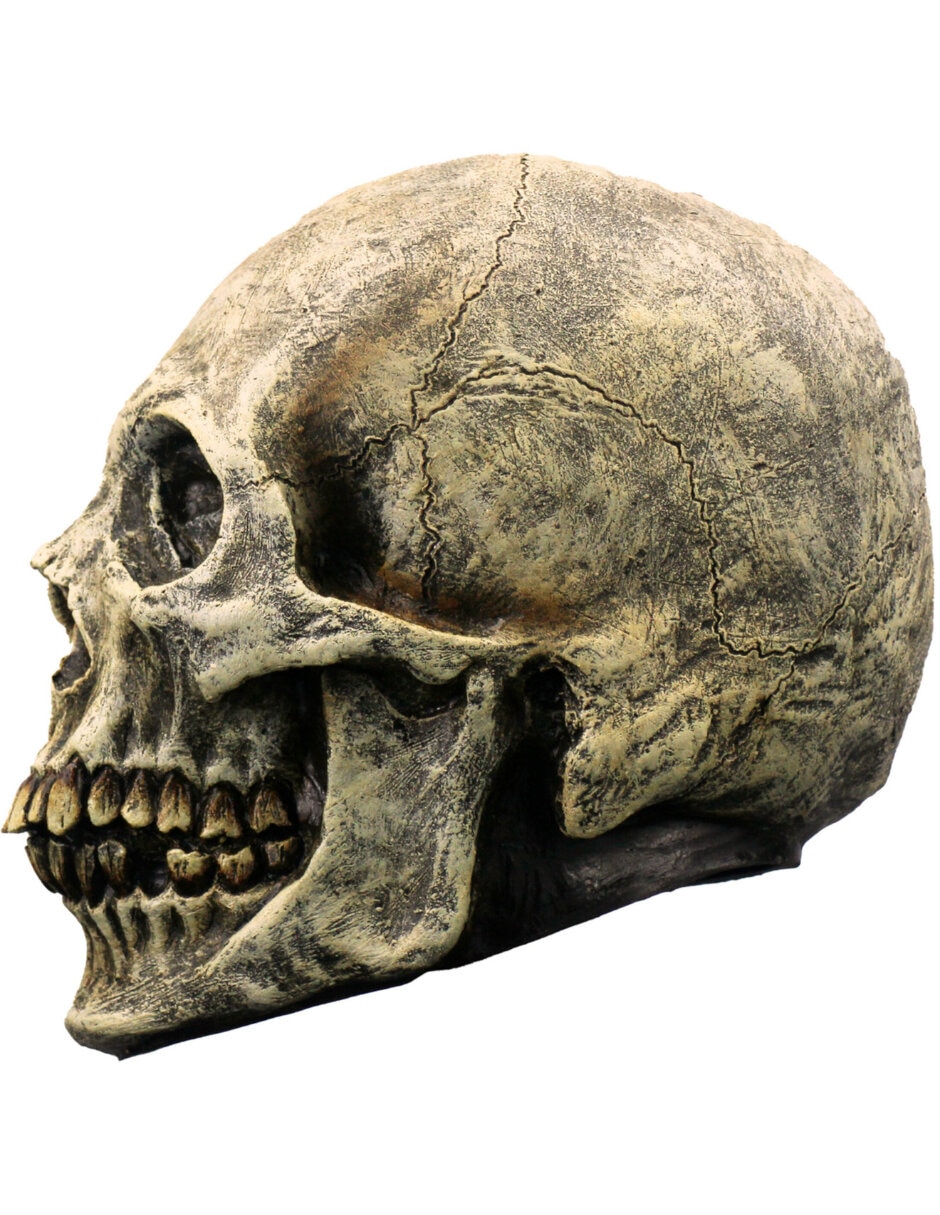 Figura decorativa de Calavera Rev