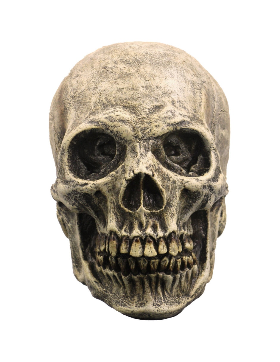 Figura decorativa de Calavera Rev