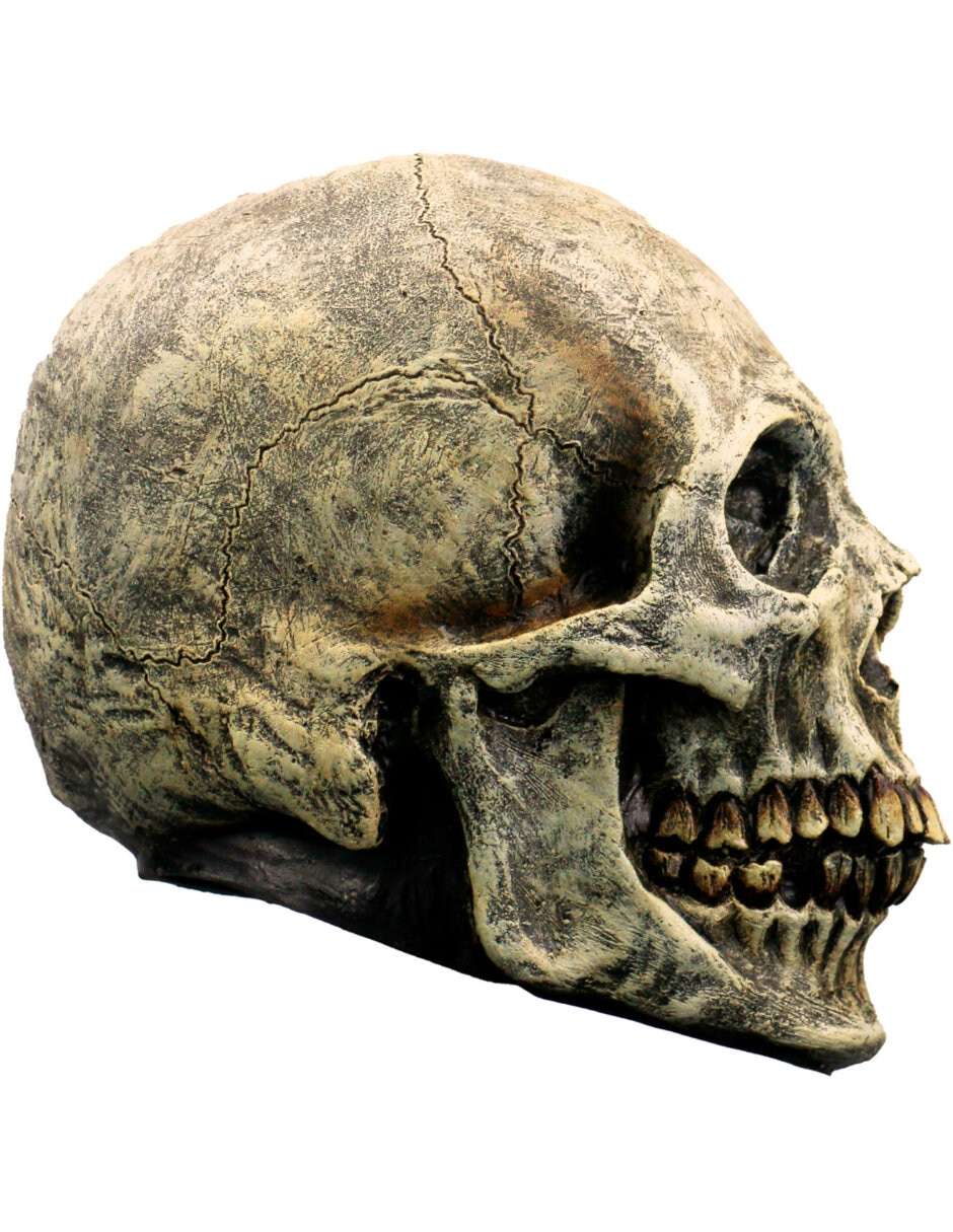 Figura decorativa de Calavera Rev