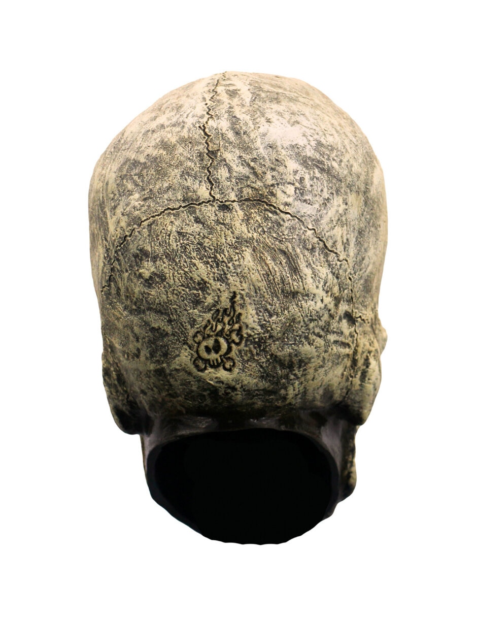 Figura decorativa de Calavera Rev
