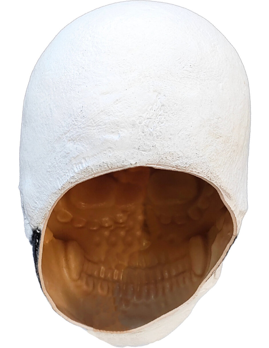 Figura decorativa de Calavera Rev