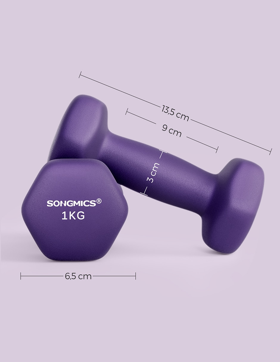 Set mancuerna de peso fijo 2kg 2 piezas 4