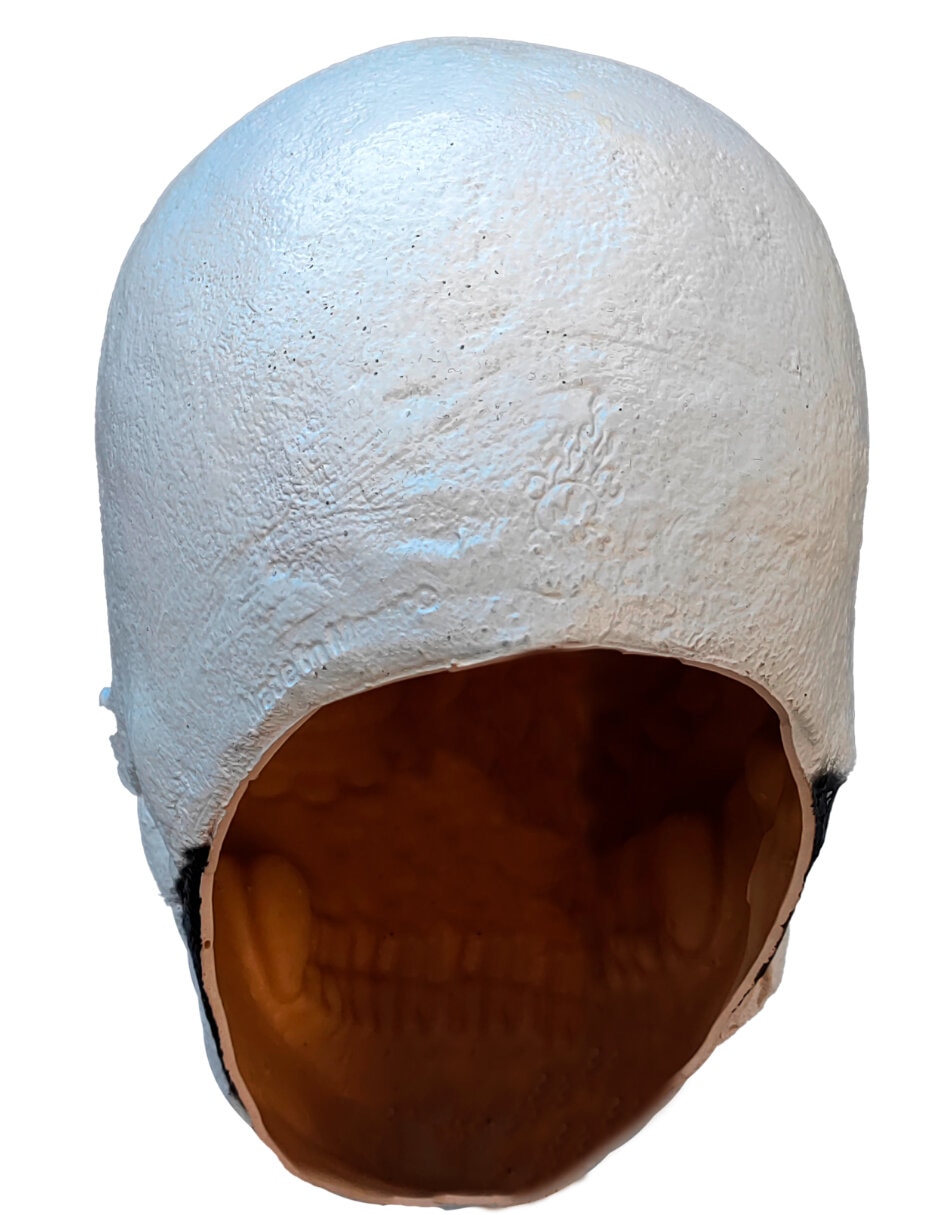 Figura decorativa de Calavera Rev