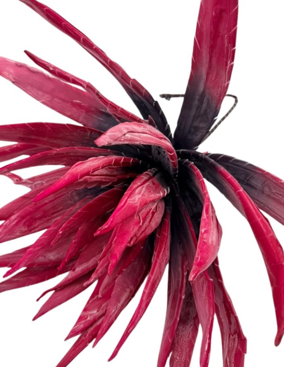 Agave natural Xanu