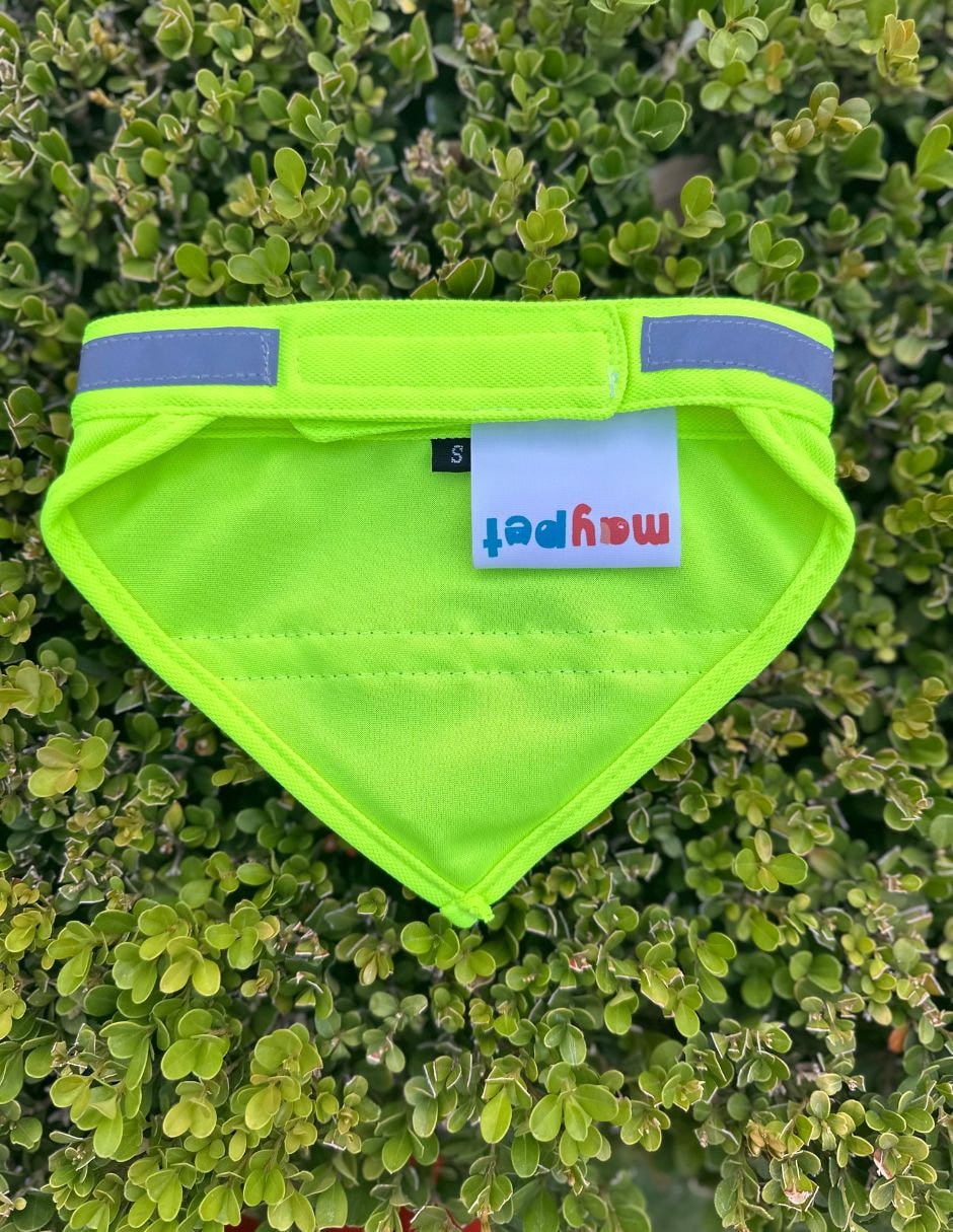 Pañuelo para perro 5