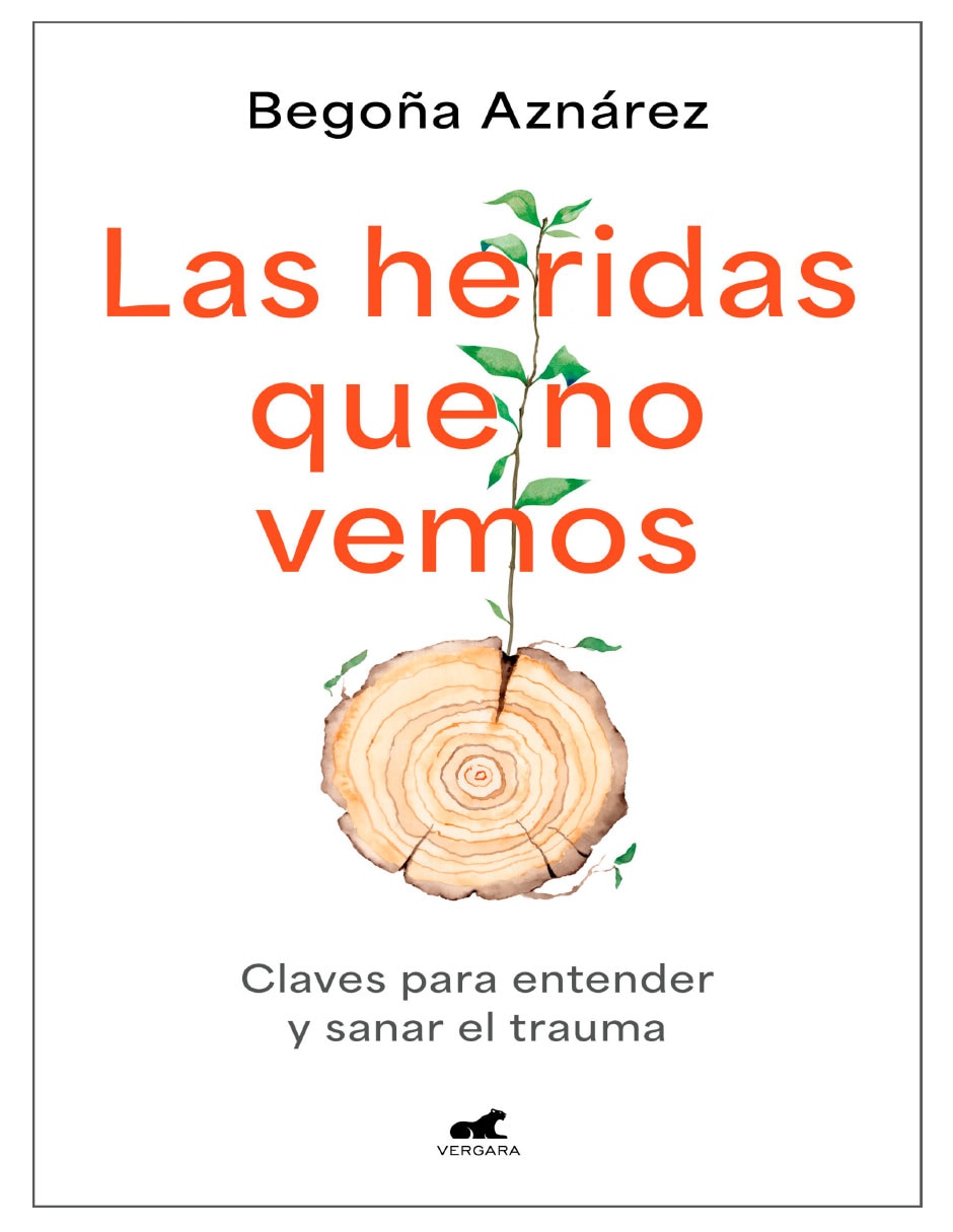 Libro Las heridas que no vemos de Begoña Aznárez