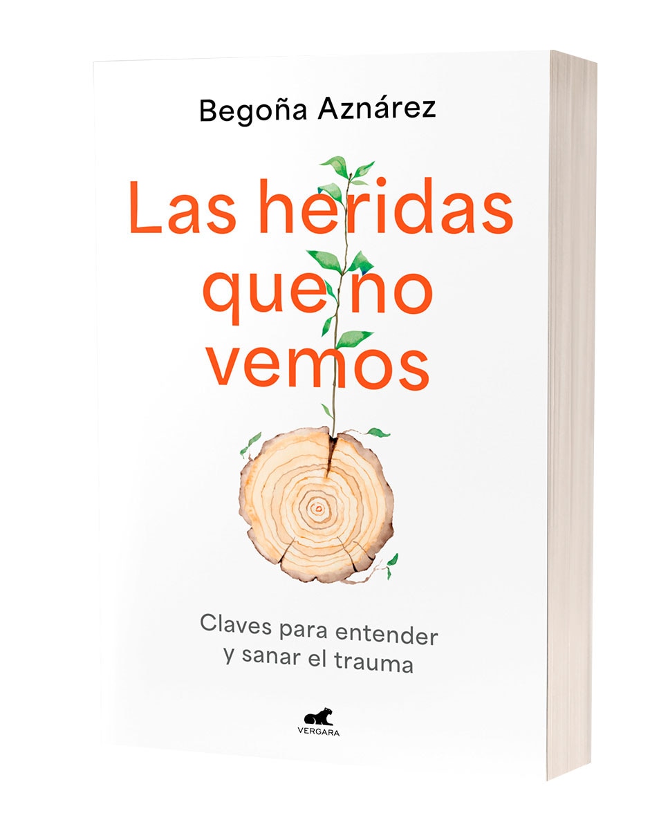 Libro Las heridas que no vemos de Begoña Aznárez 2