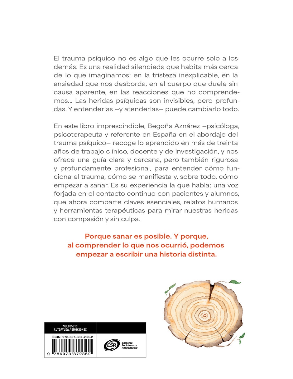 Libro Las heridas que no vemos de Begoña Aznárez 3