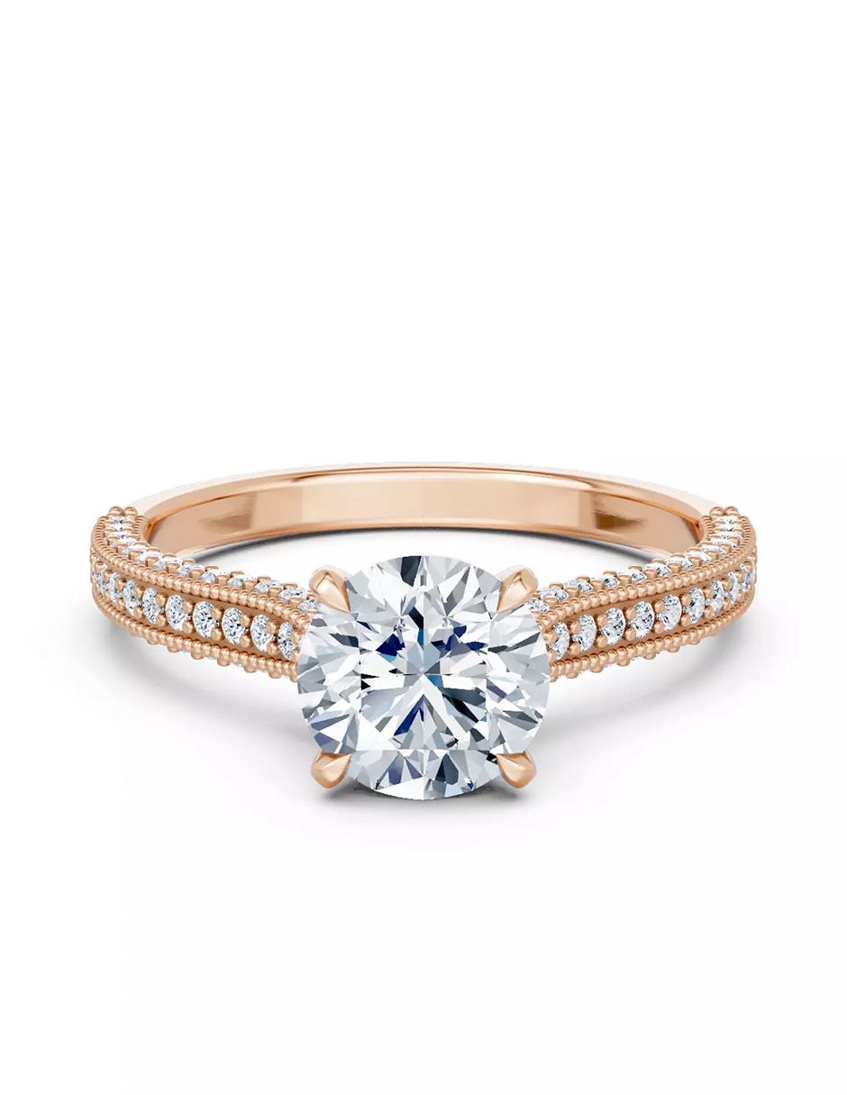 Rosa 2