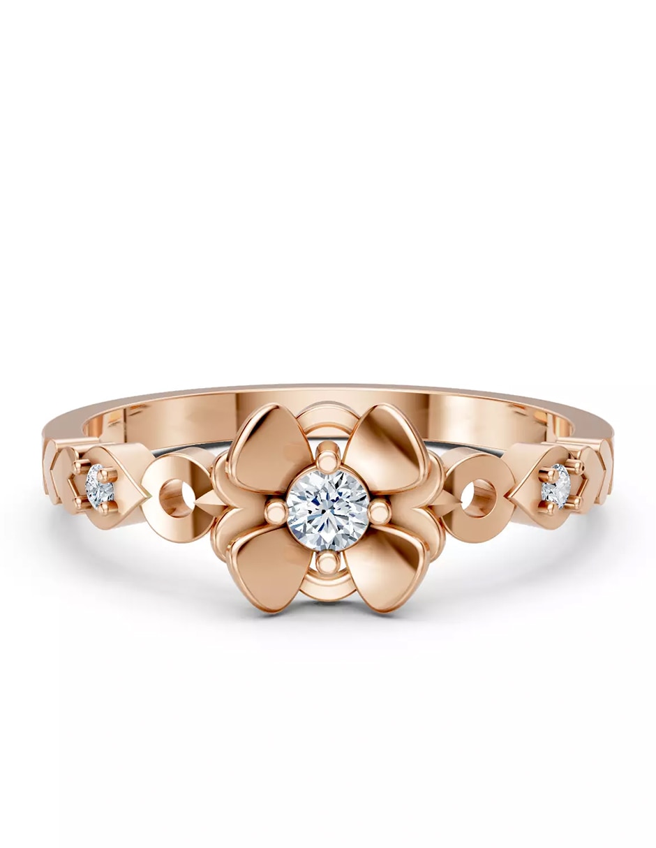 Rosa 2