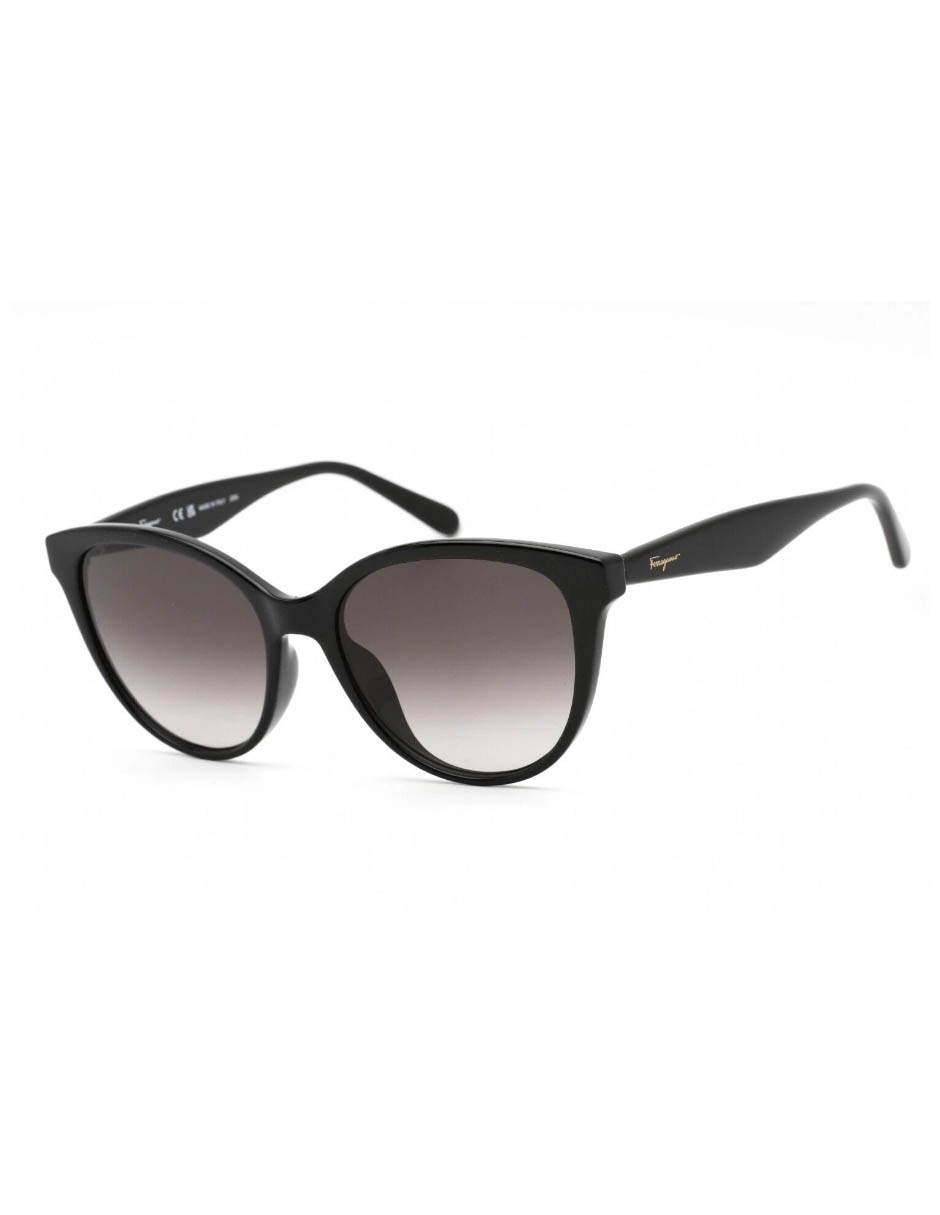 Lentes de sol Salvatore Ferragamo SF1073S unisex