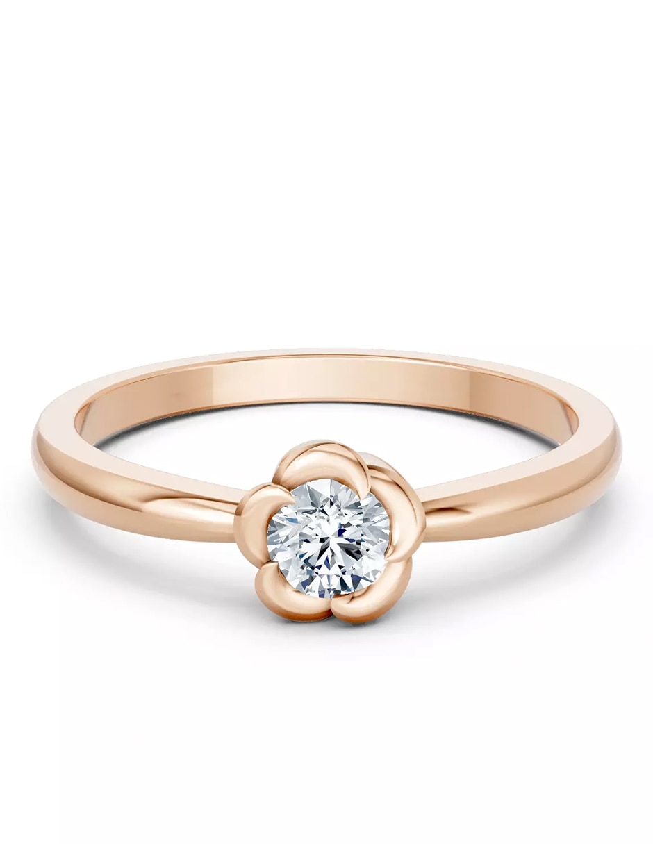 Rosa 3