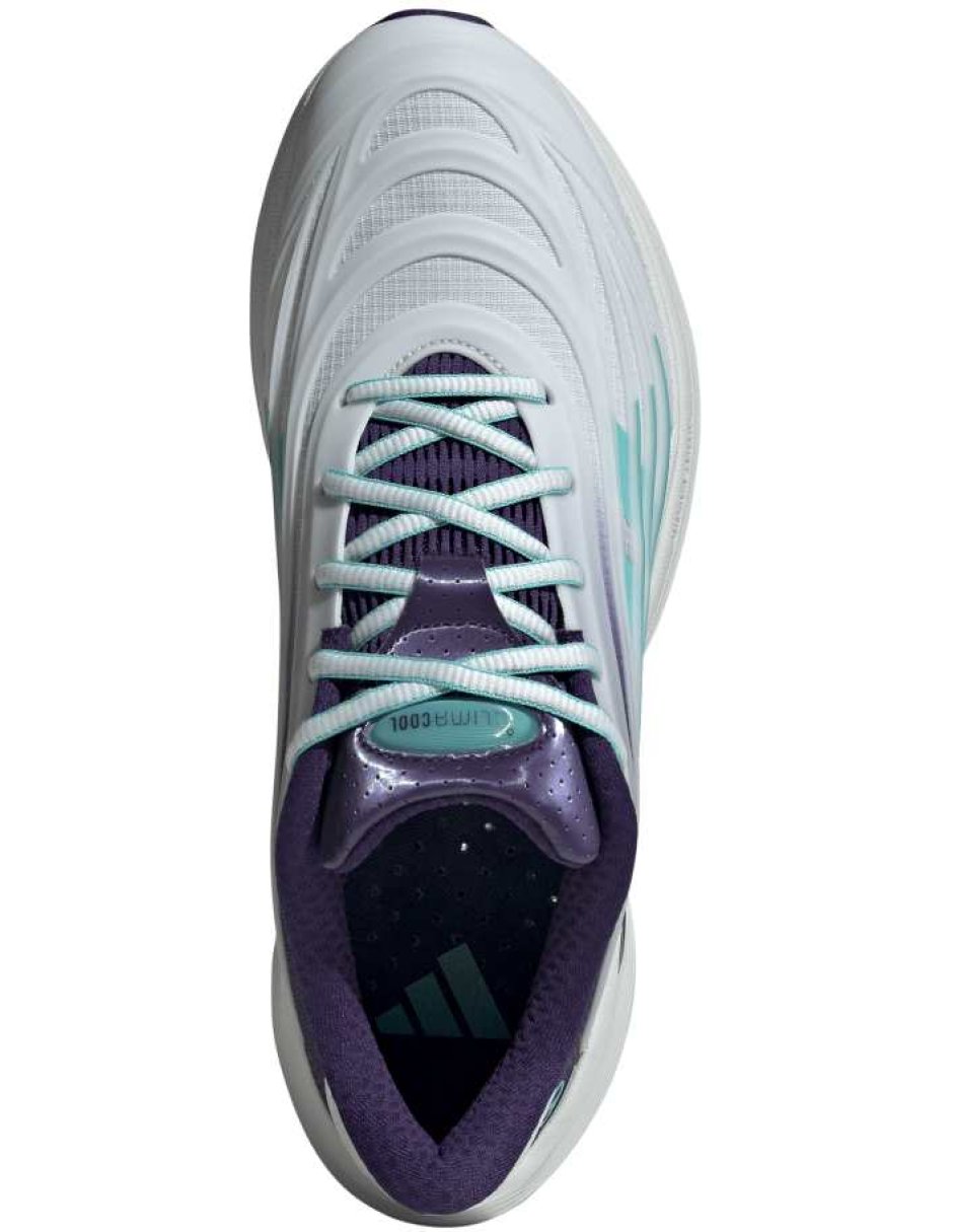 Tenis Climacool Spw Mer para hombre