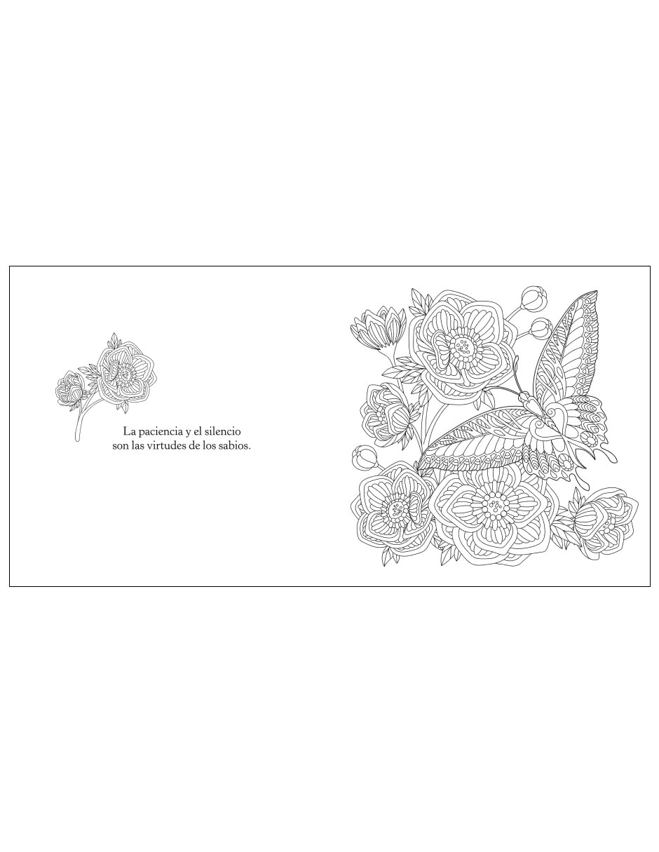 Libro colorear mariposas de varios autores