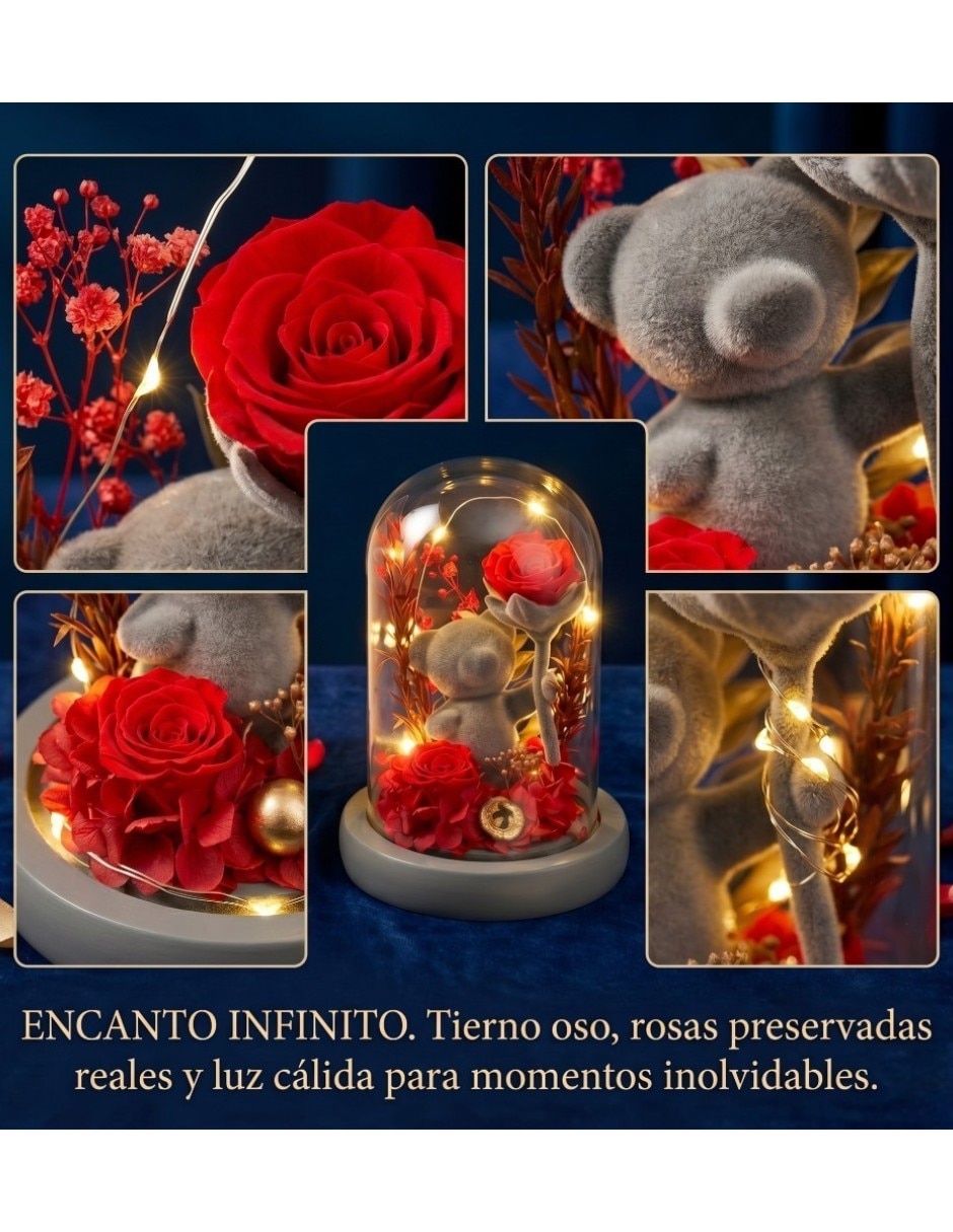 Figura decorativa Cm-Top cúpula de flores preservadas con luces LED