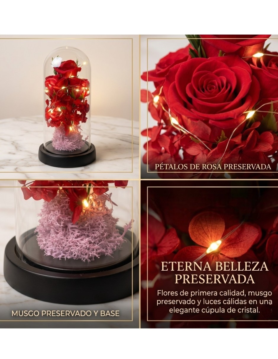 Figura decorativa cúpula de flores preservadas con luces LED 4