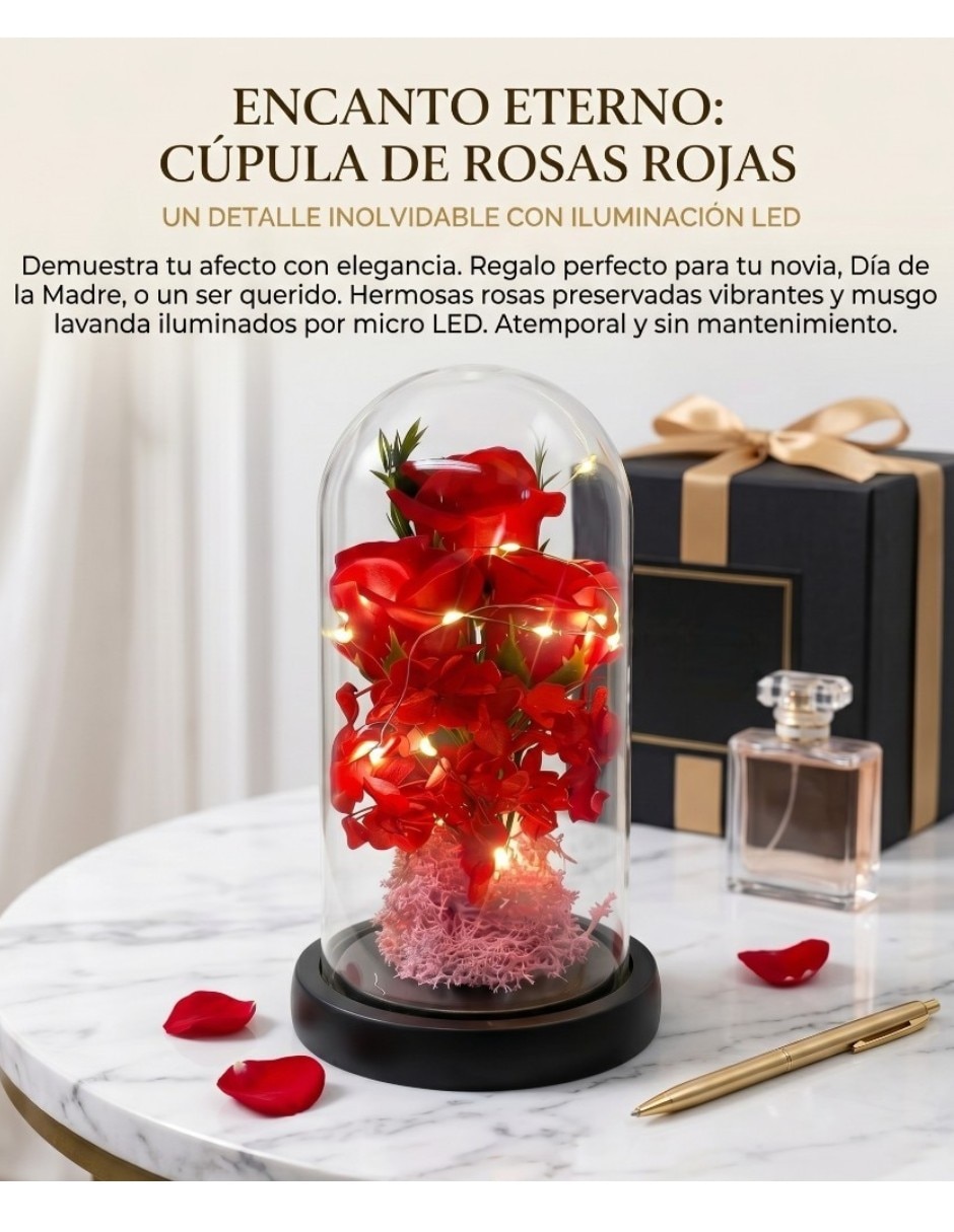 Figura decorativa cúpula de flores preservadas con luces LED 3