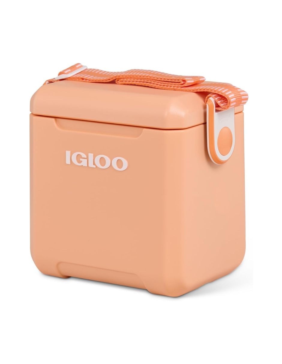 Hielera Igloo Tag Along de plástico