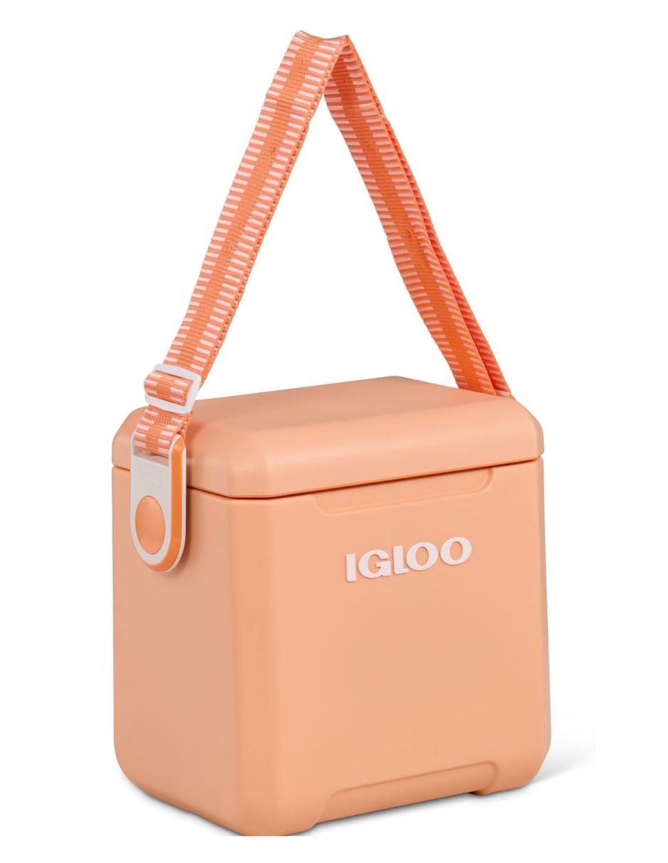 Hielera Igloo Tag Along de plástico