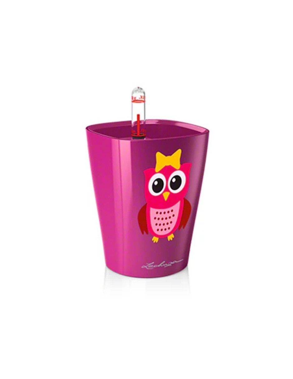 Fucsia 3