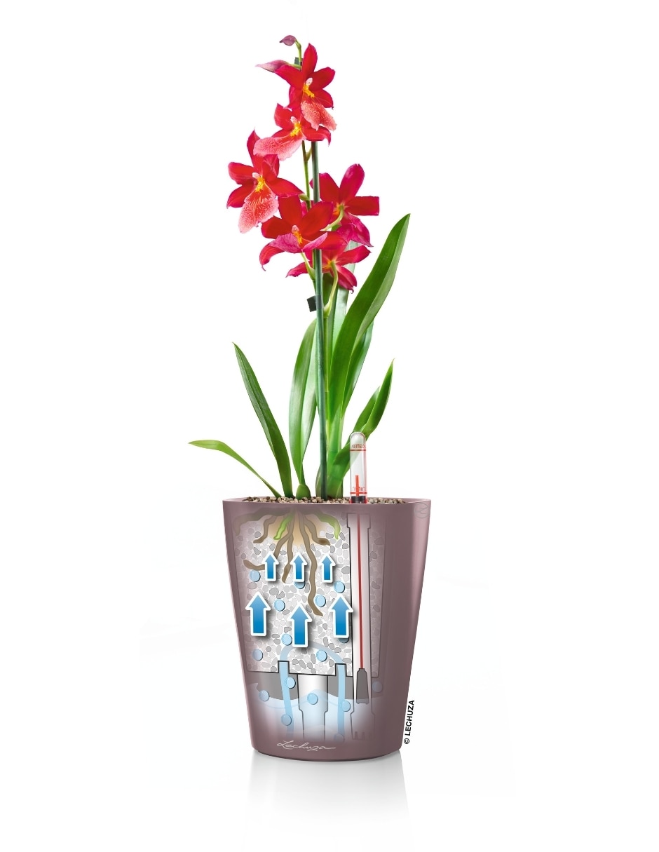 Maceta autorriego Premium 3