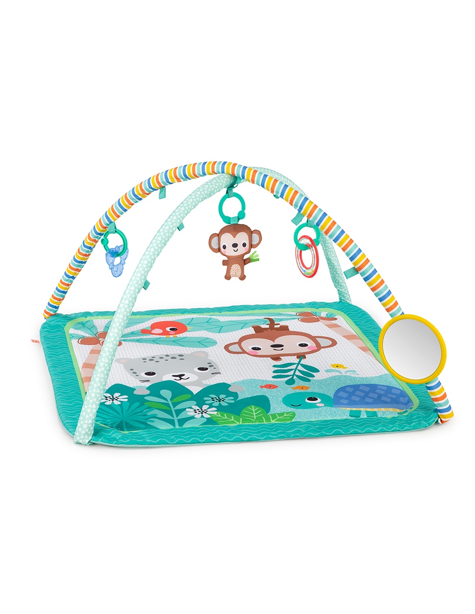 Gimnasio Palm Party Gimnasio Palm Party