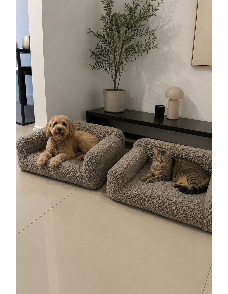 Para perro y gato 4