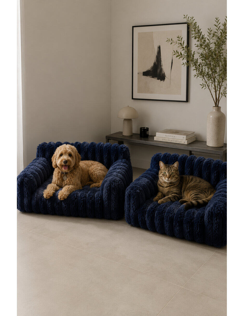 Para perro y gato 3