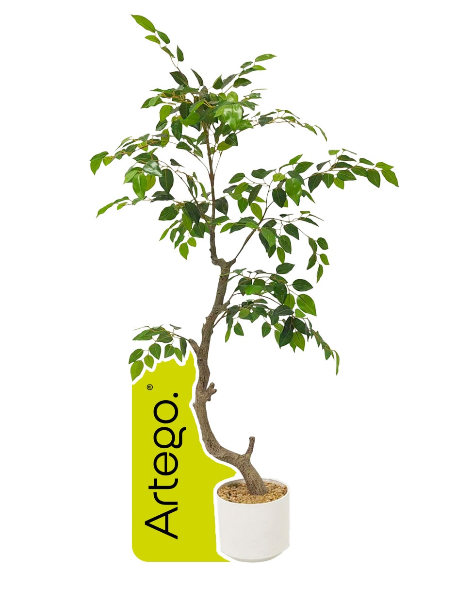 Planta Ficus artificial