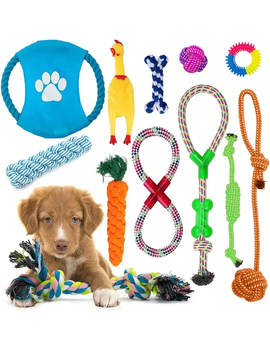 Kit de juguete para mascota 3