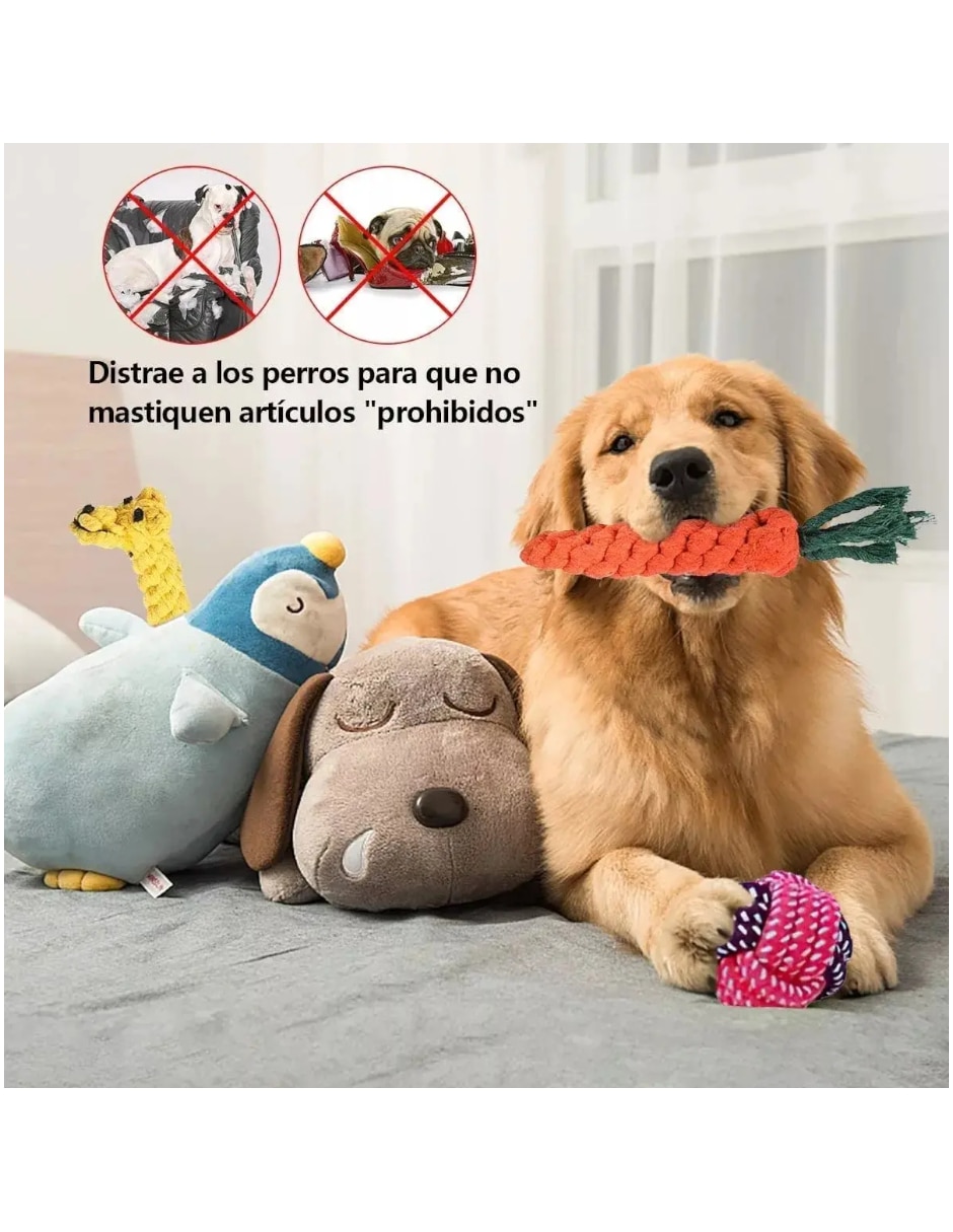 Kit de juguete para mascota 4