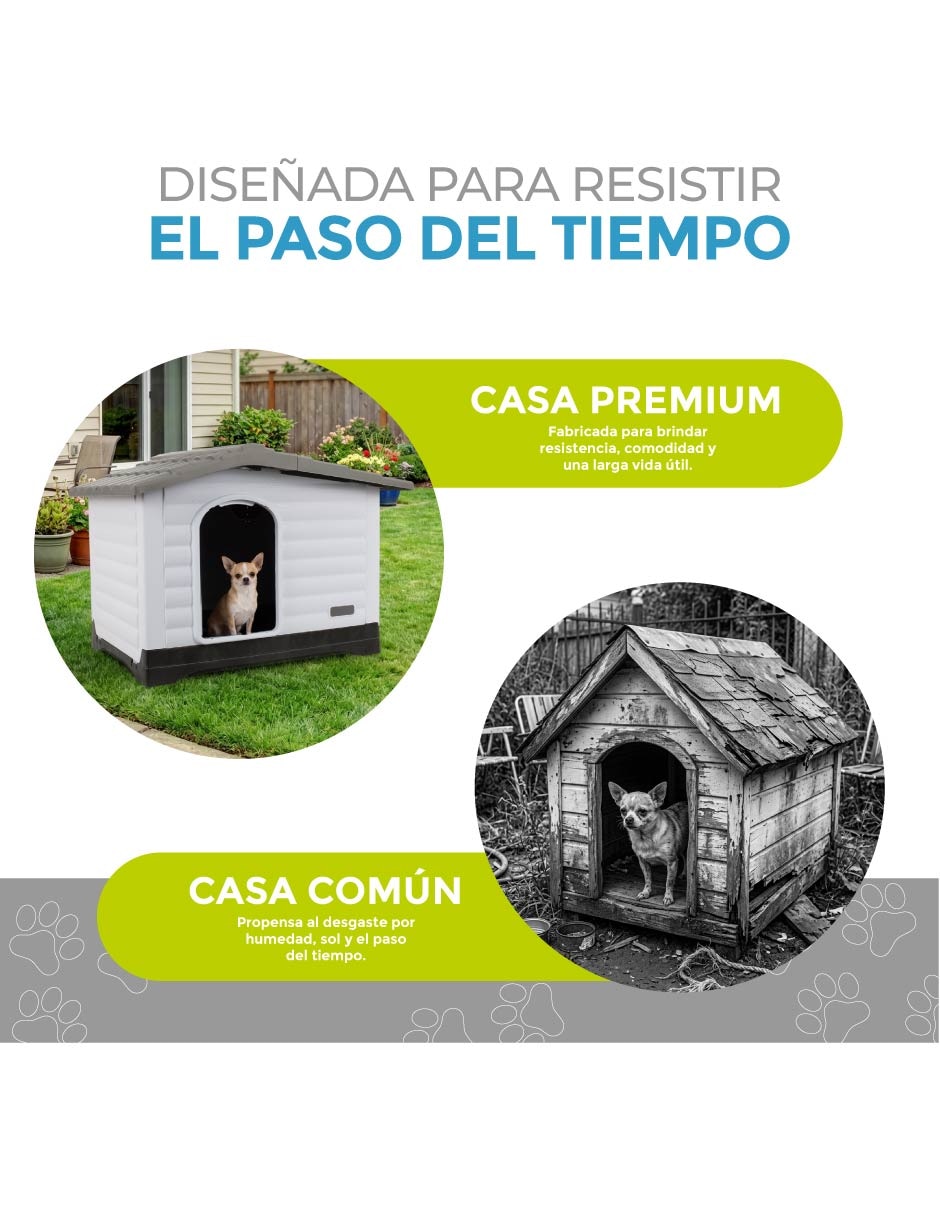 Casa para Perro 5