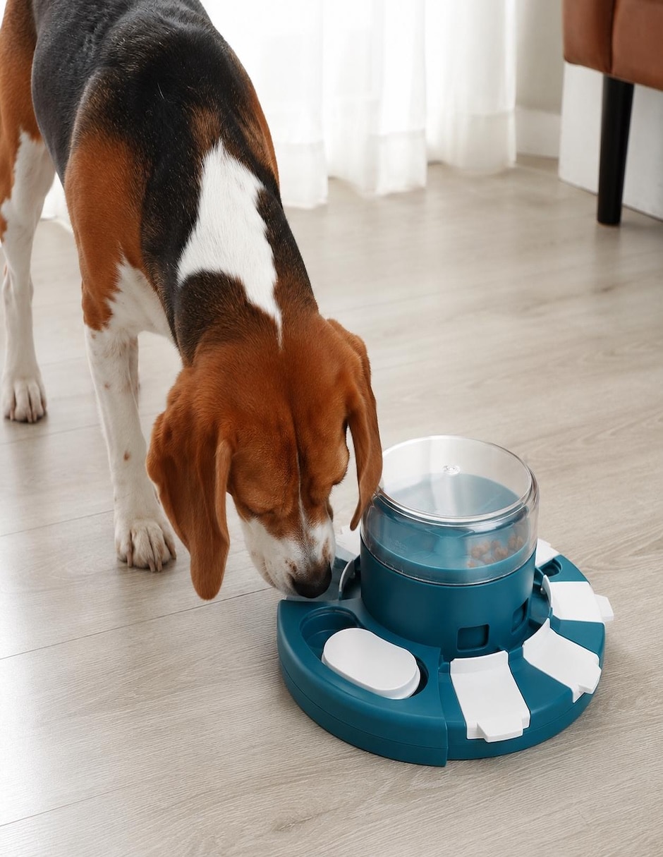 Juguete interactivo para perro y gato 2