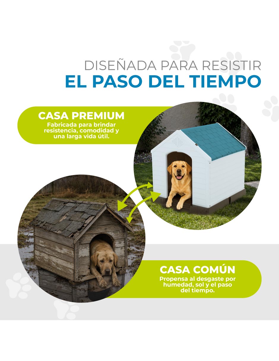 Casa para perro 3