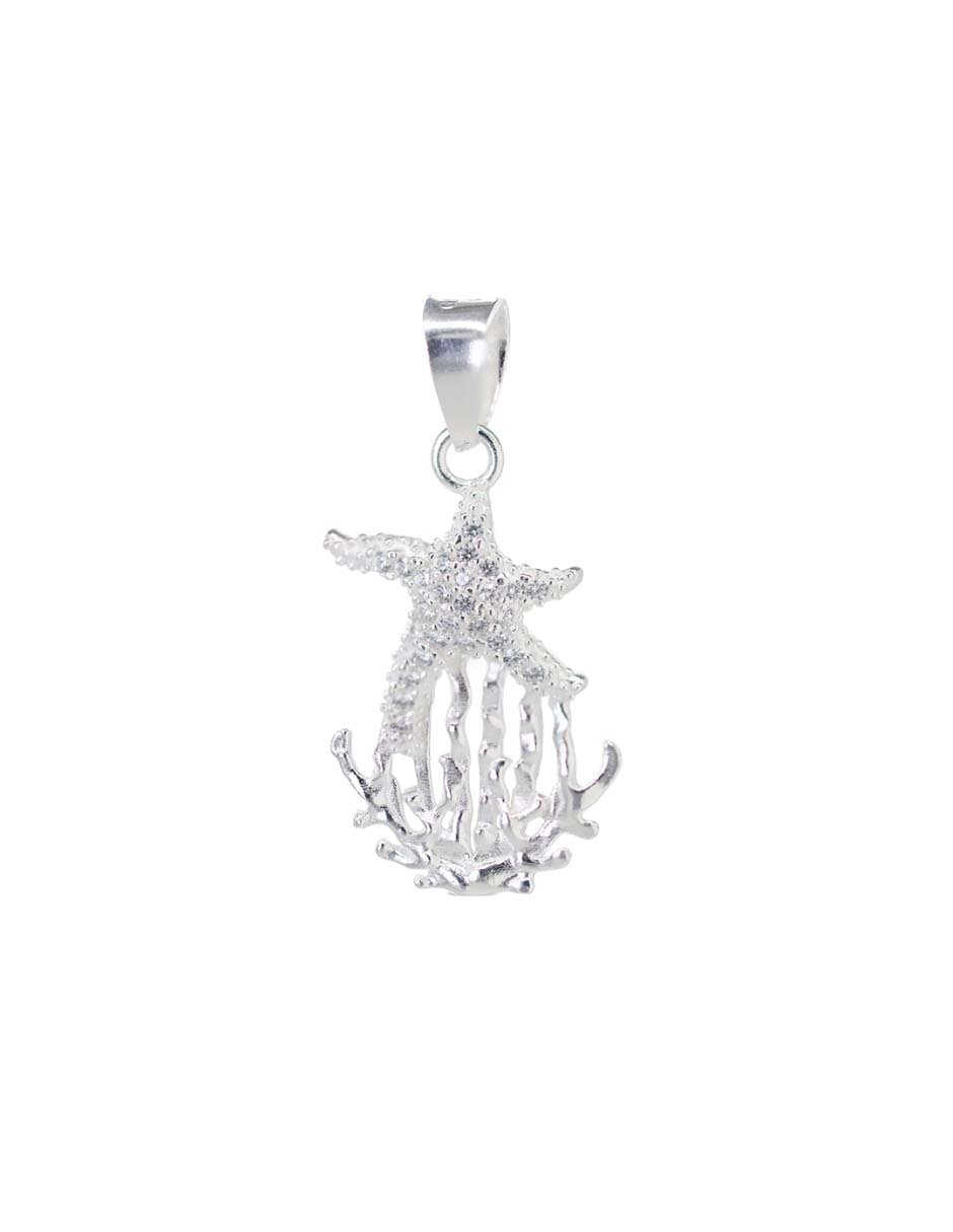 Charm de plata