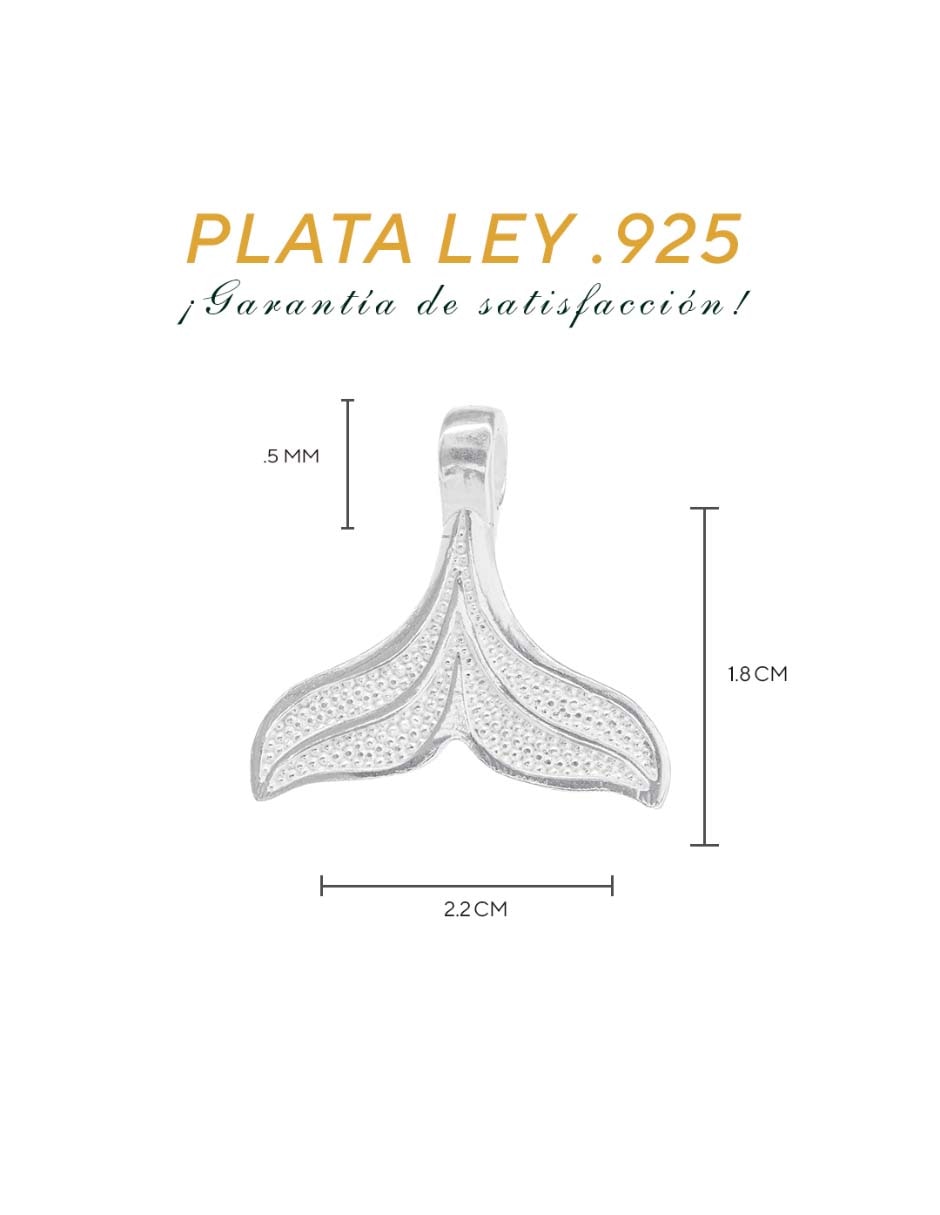 Charm de plata 2