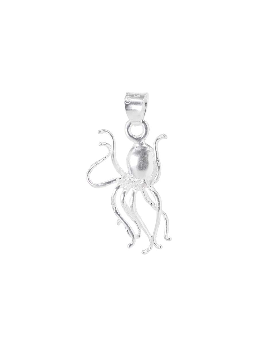 Charm de plata
