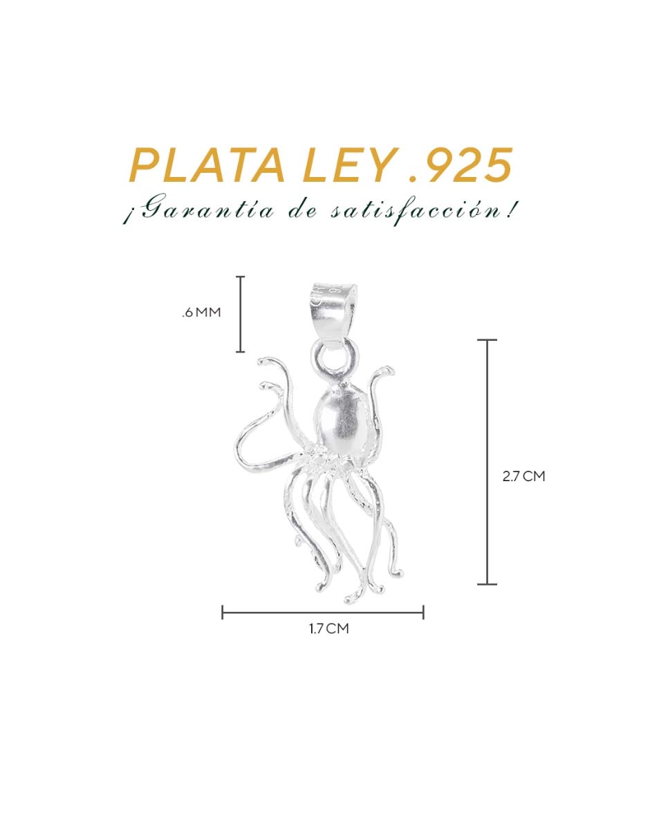 Charm de plata 2
