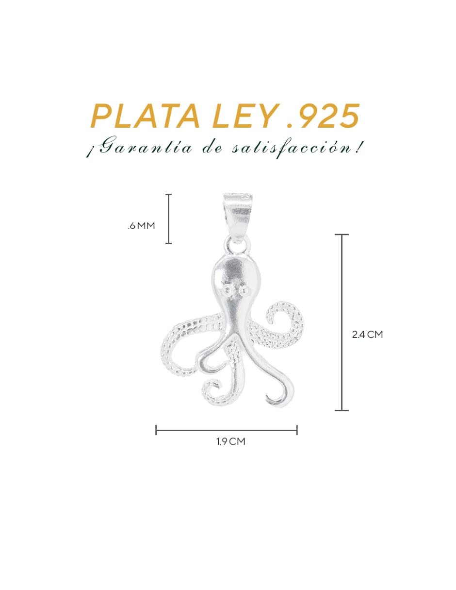 Charm vanguardia joyera de plata