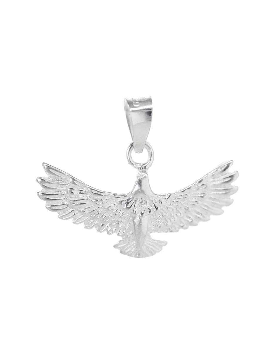 Charm de plata 1
